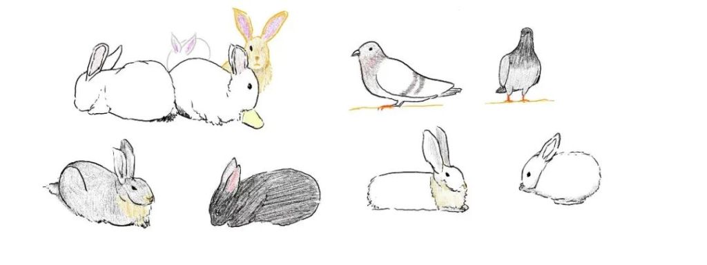 Nova3 Color 彩色手繪