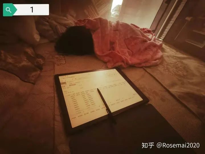 Boox Max Lumi 電子書閱讀器
護眼神器