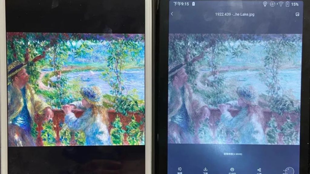 Boox Nova3 Color 與 iPad Mini 的對比

顏色對比