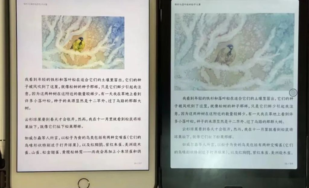 Boox Nova3 Color 與 iPad Mini 的對比

圖文小說